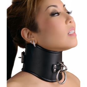Strict Leather Locking Posture Collar (Style/Color/Size: Small)